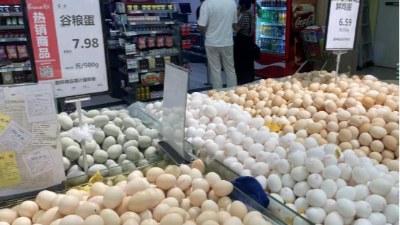 蛋價(jià)破6，價(jià)格還會(huì)漲嘛-上海邦森