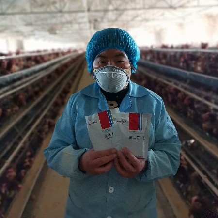 來吧，展示，好評如潮的速壯丁