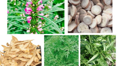 飼料便軟便、血斑蛋等陽氣不足、陰血虧虛引起的癥狀用上海邦森如意。