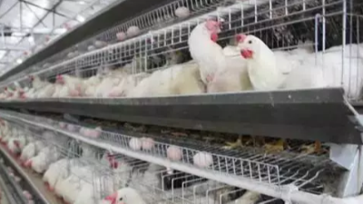 官宣||速壯丁1號(hào)升級(jí)版來啦