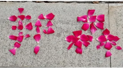 上海邦森云臺(tái)山健康養(yǎng)殖高峰論壇圓滿成功